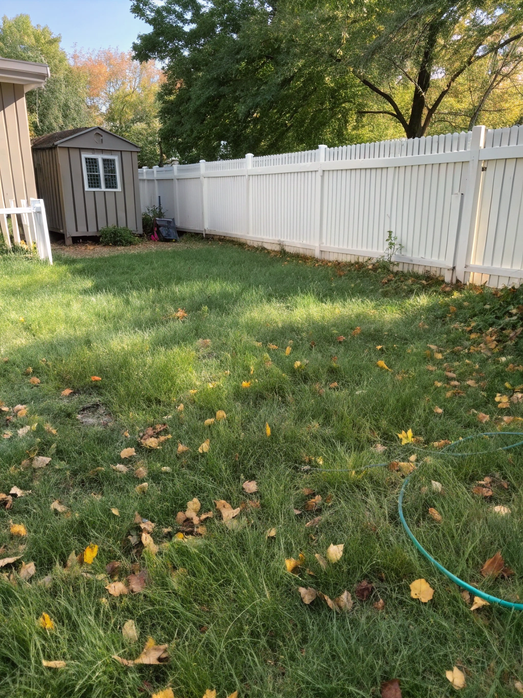 Healthy green lawn after fertilization